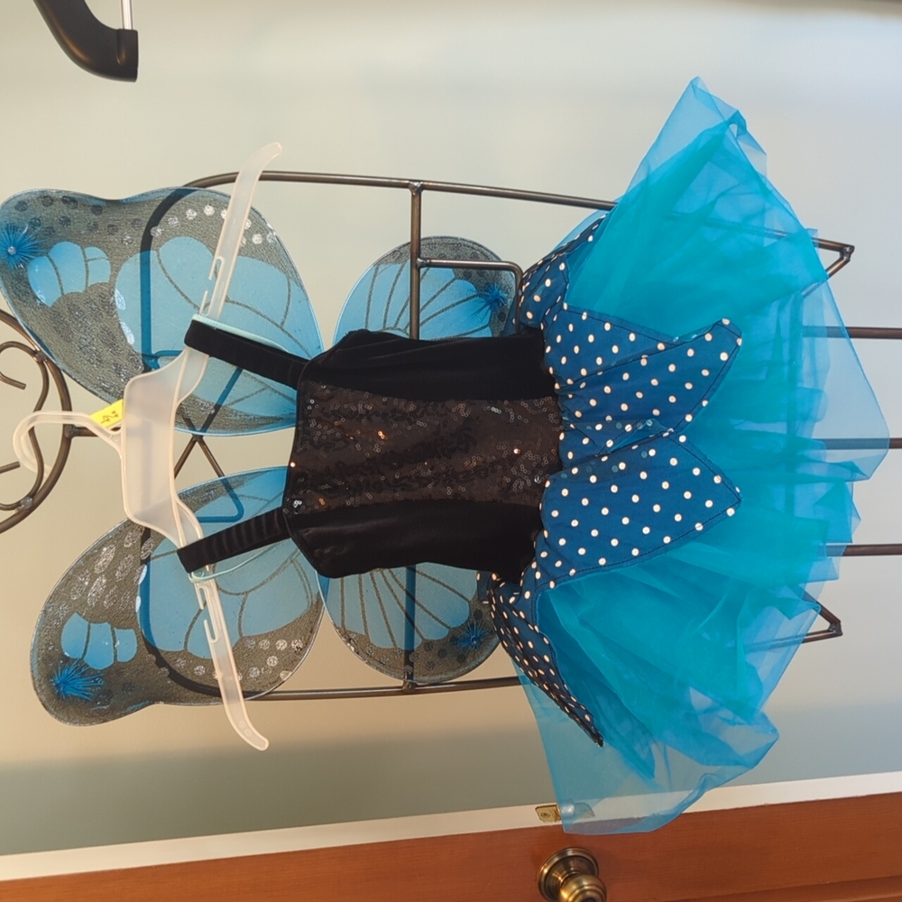 Butterfly Ballet Costume